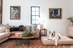 Read more about the article How to Remove Pet Hair and Allergens from Your Home | Jersey City Cleaning Tips