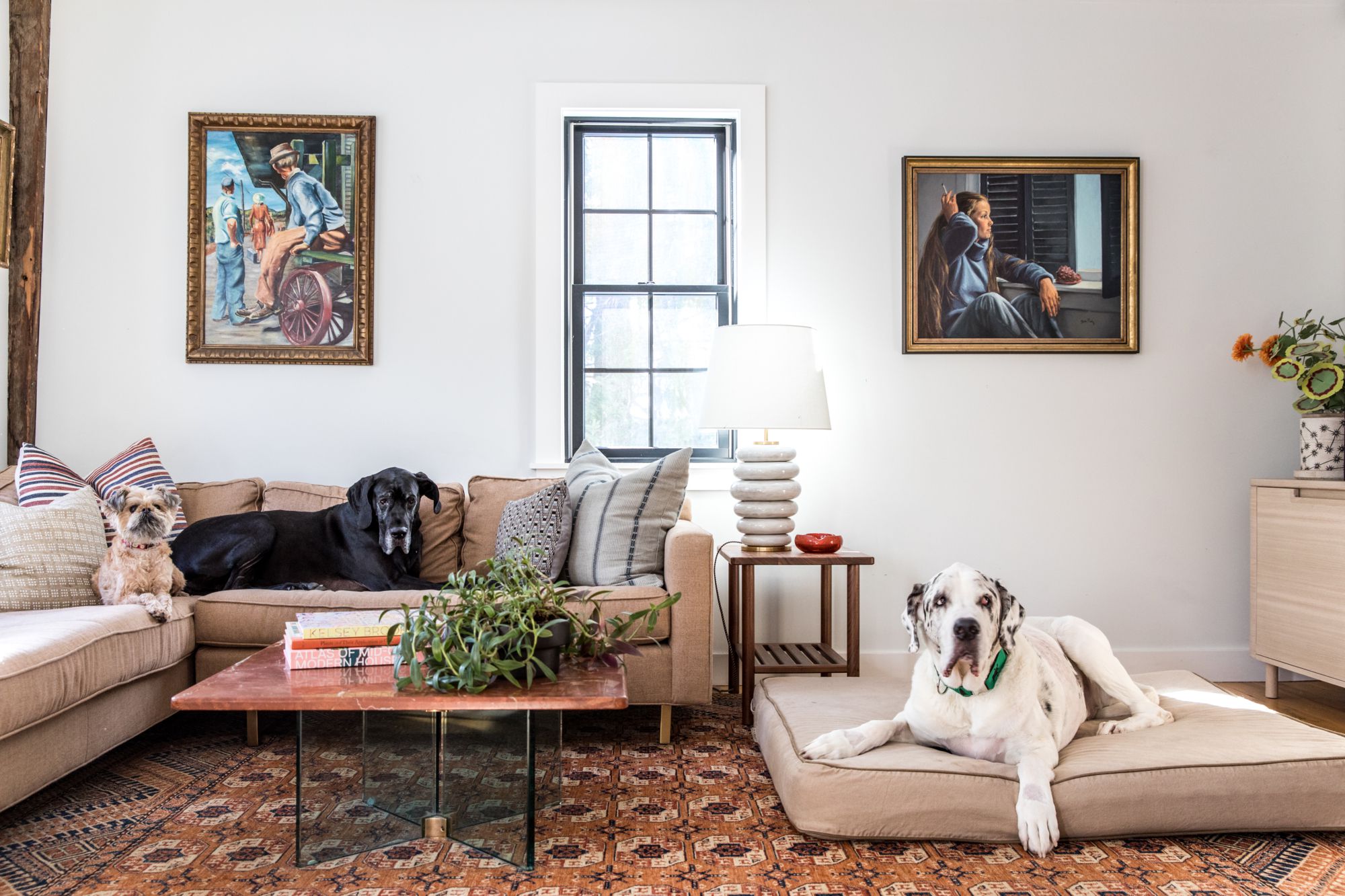 How to Remove Pet Hair and Allergens from Your Home | Jersey City Cleaning Tips